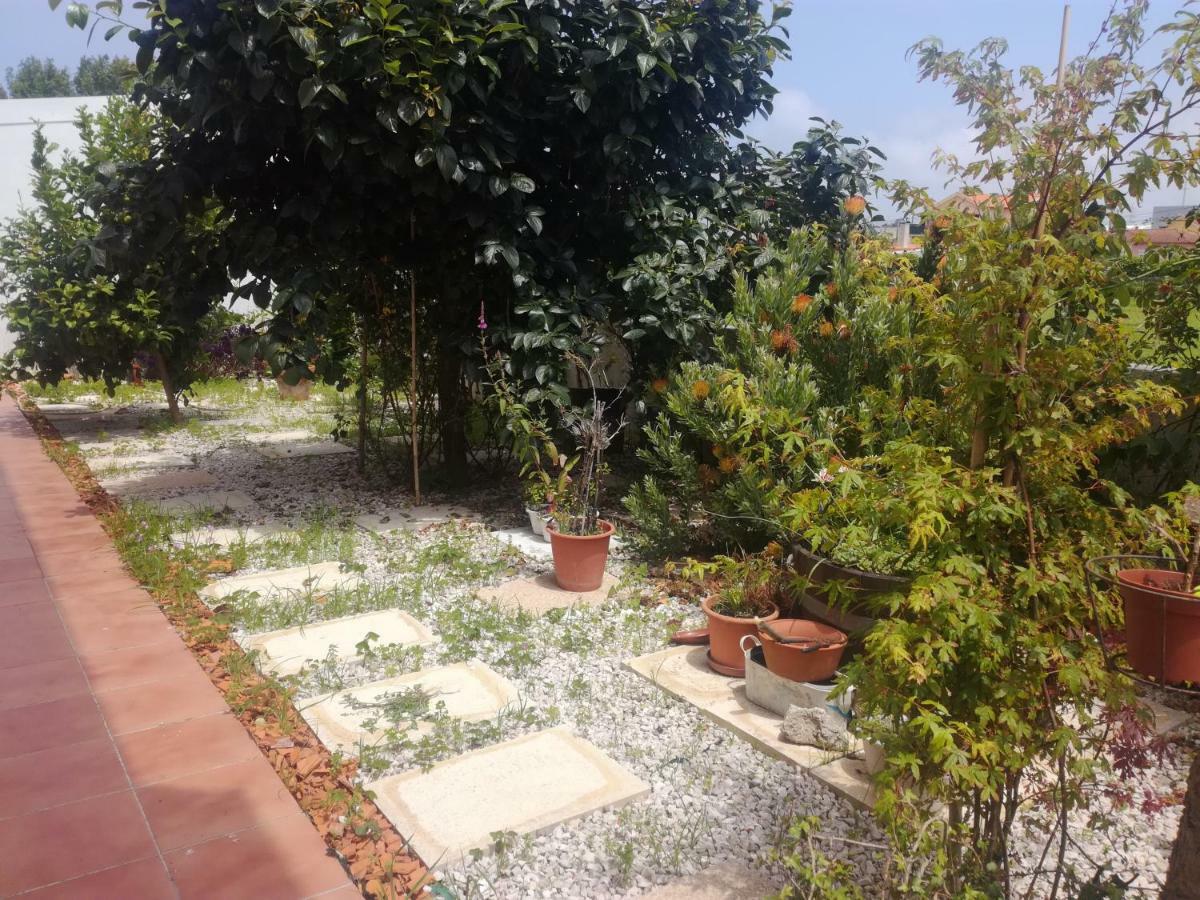 Casa Lagoa Country house Esmoriz